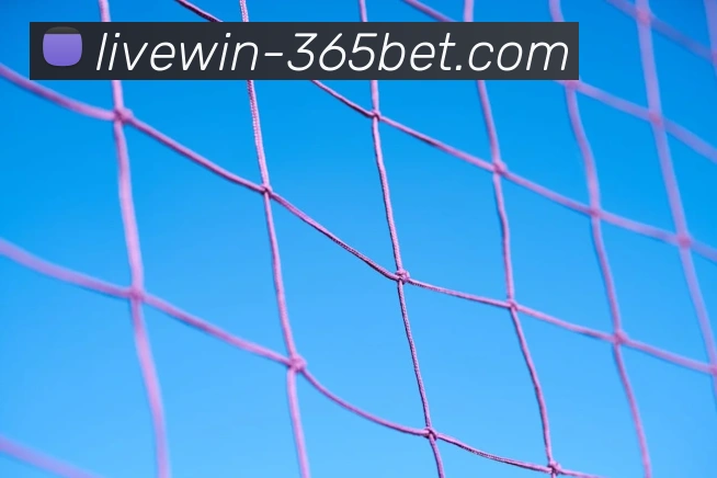 365betAPP 高清赛事图